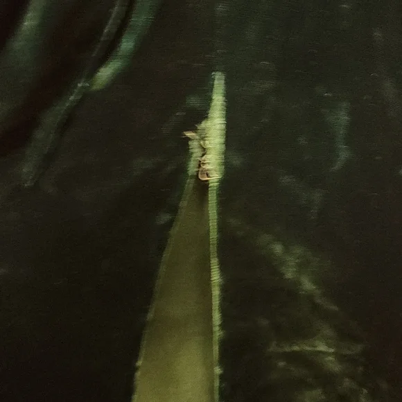 Custom made green velvet gown! - Picture 8 of 11